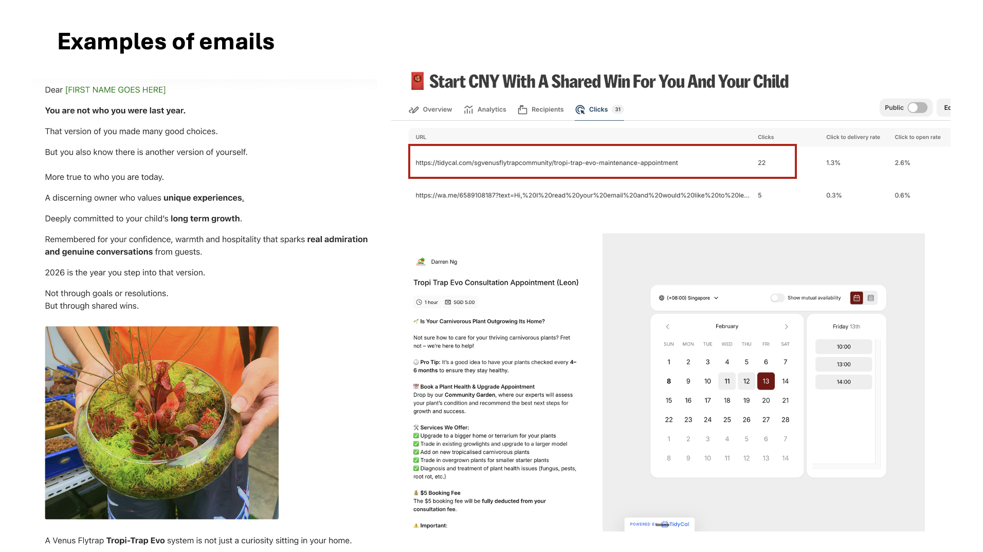 SGVenusFlyTrap email campaigns